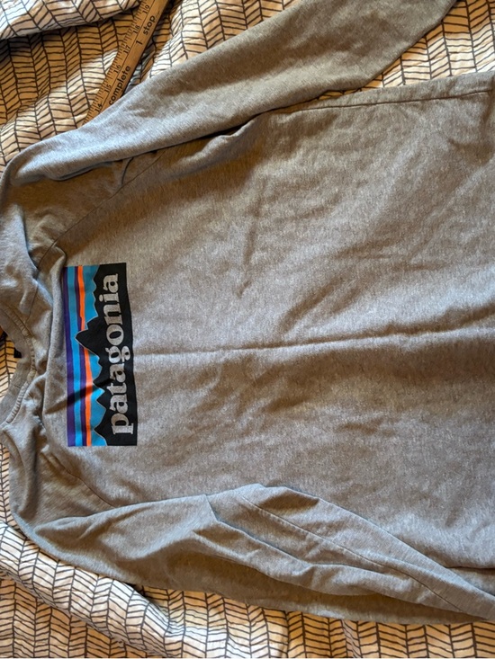 Patagonia Other - Patagonia organic cotton  Men's Long-Sleeve Crewneck Shirt  Gray